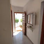 Endagora *